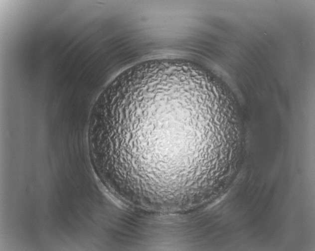 X0000073851417200608311949