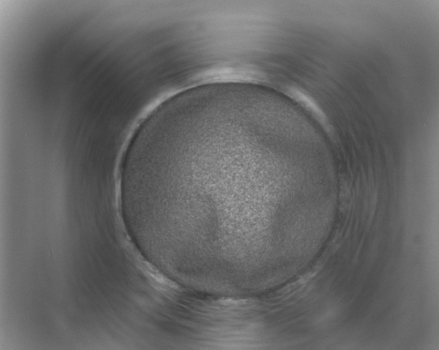 X0000073851419200608311949