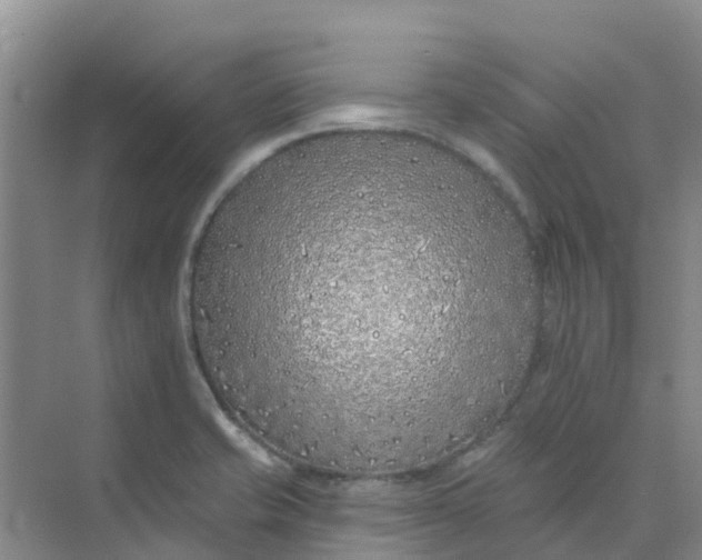 X0000073851421200608311949