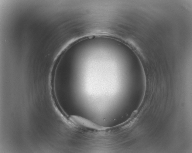 X0000073851422200608311949