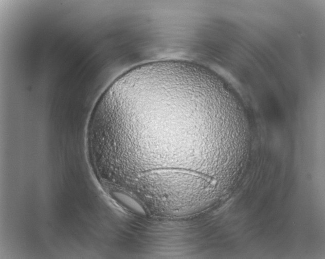 X0000073851423200608311949