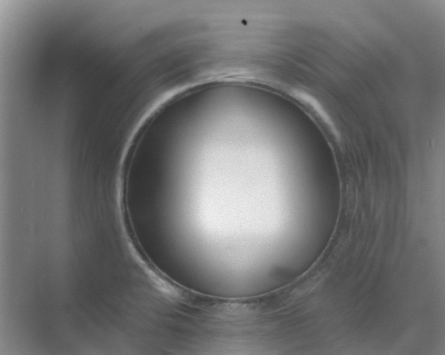 X0000073851424200608311949