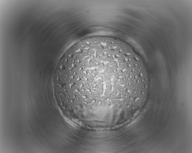 X0000073851425200608311949