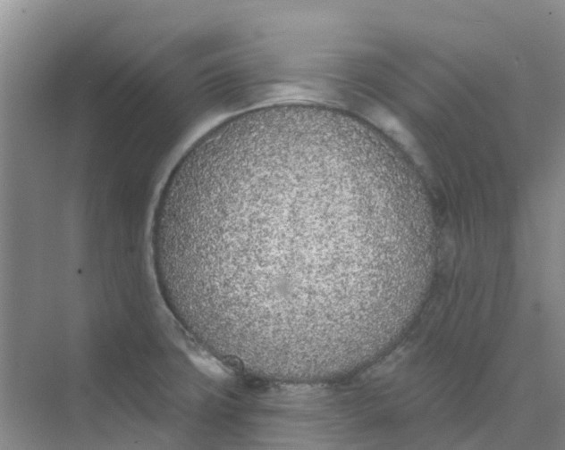 X0000073851427200608311949