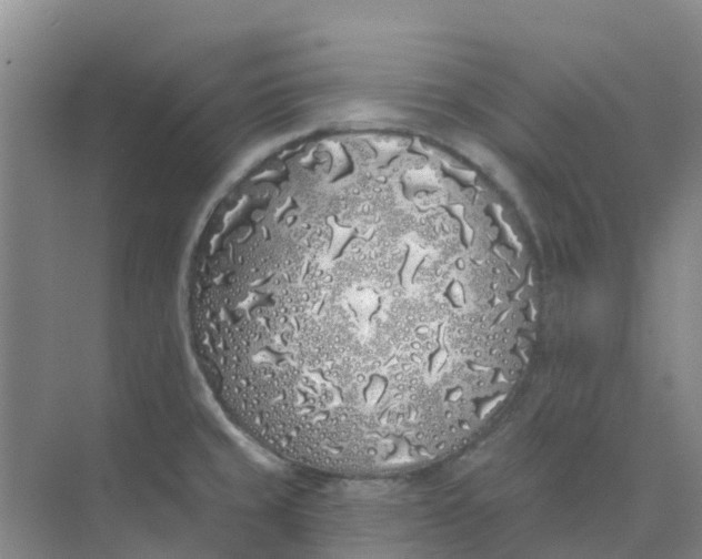 X0000073851429200608311949