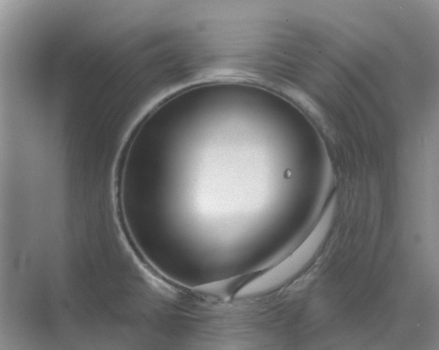 X0000073851430200608311949