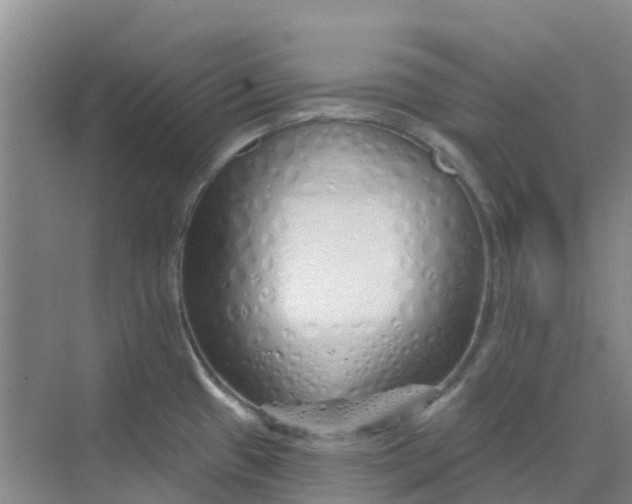 X0000073851433200608311949