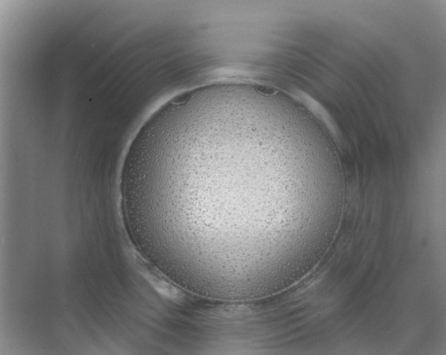 X0000073851435200608311949