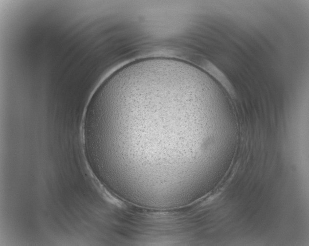 X0000073851436200608311949