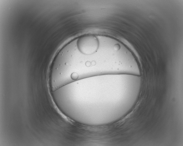 X0000073851437200608311949