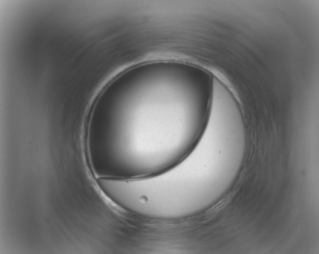 X0000073851438200608311949