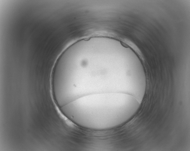 X0000073851439200608311949