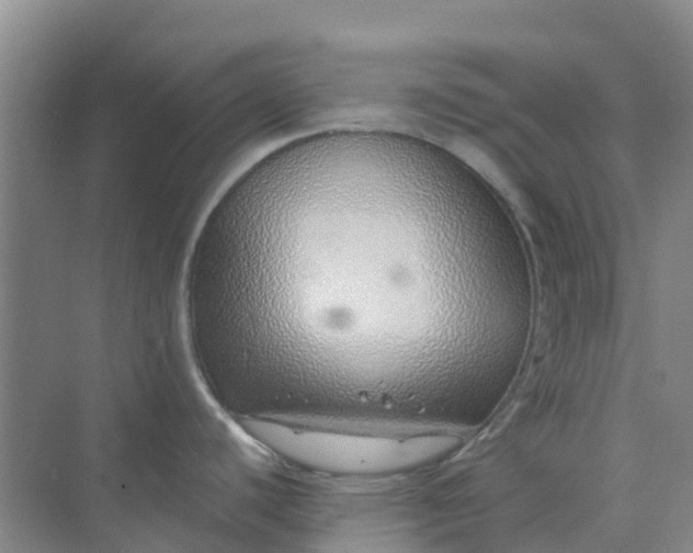 X0000073851440200608311949