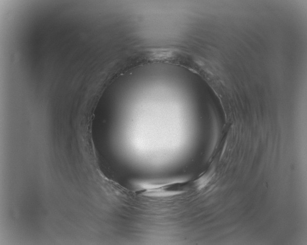 X0000073851441200608311948