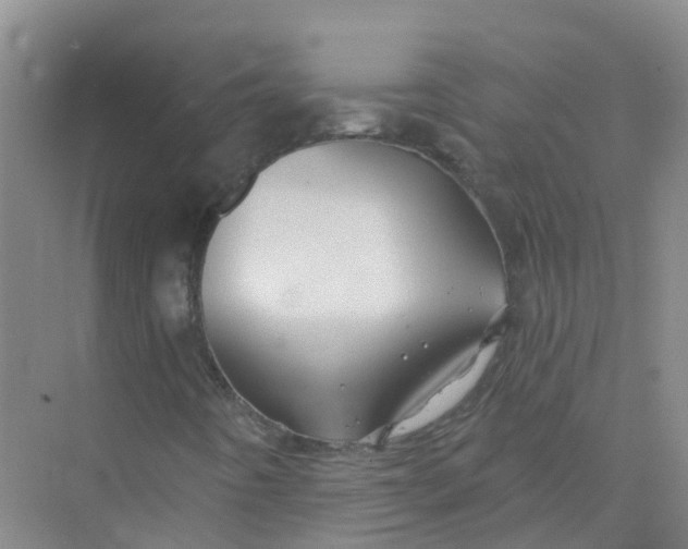 X0000073851442200608311948