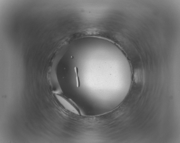 X0000073851444200608311948