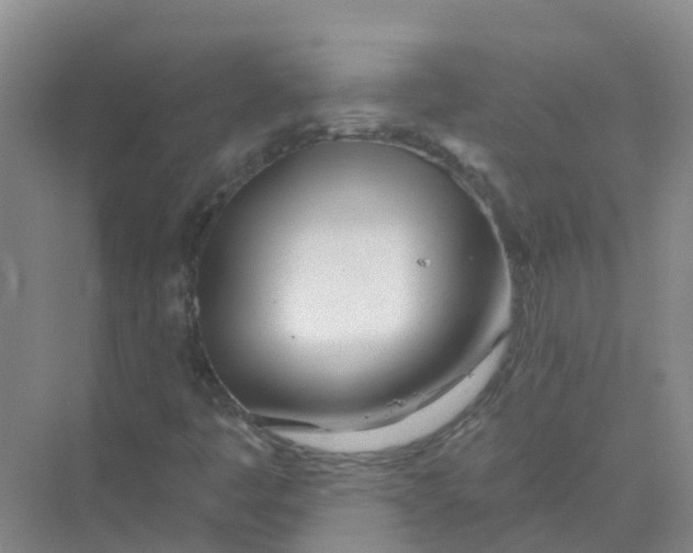 X0000073851445200608311948