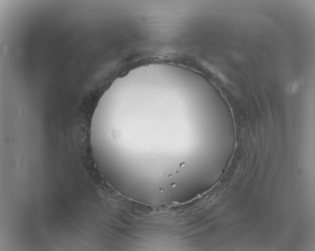 X0000073851447200608311948