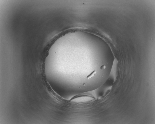 X0000073851448200608311948