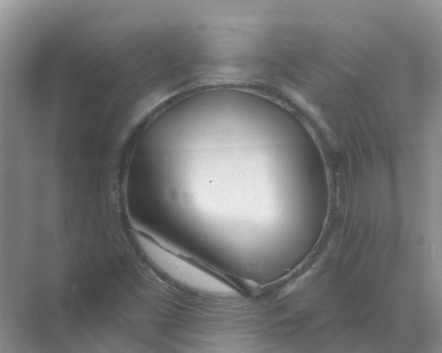 X0000073851453200608311948