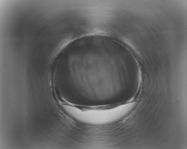 X0000073851455200608311948