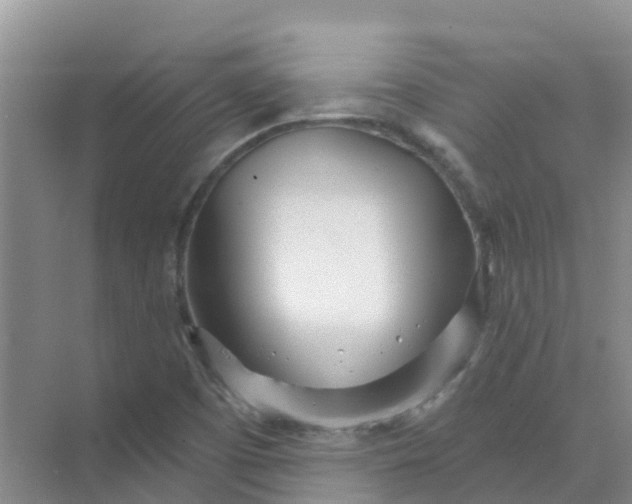 X0000073851457200608311948