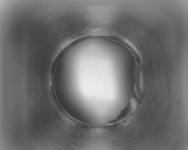 X0000073851461200608311948