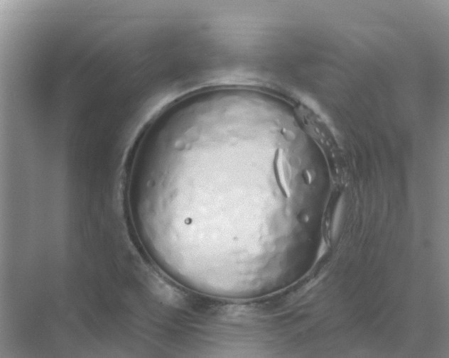 X0000073851463200608311948