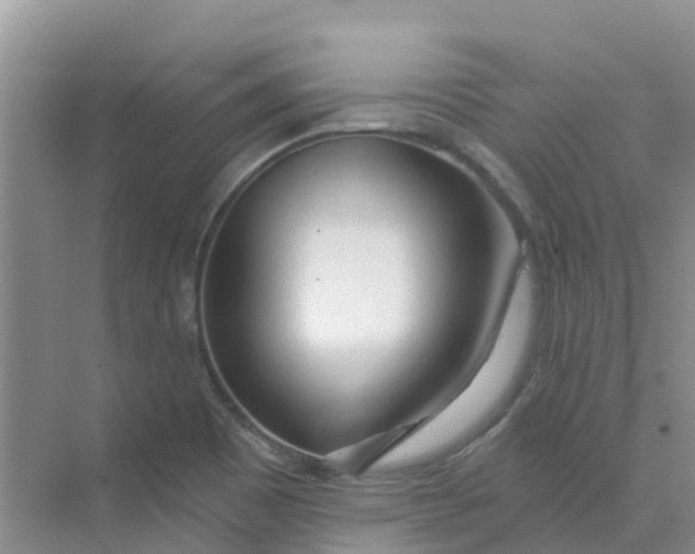 X0000073851465200608311948