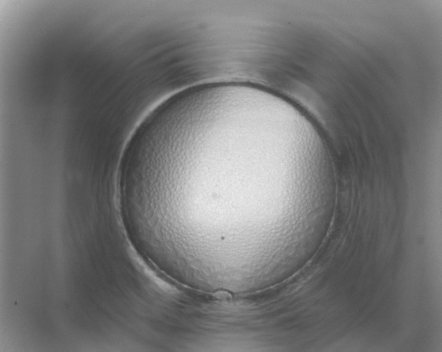 X0000073851468200608311948