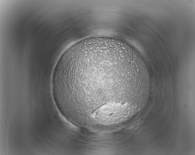 X0000073851471200608311948