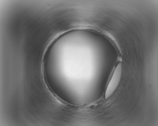 X0000073851472200608311948