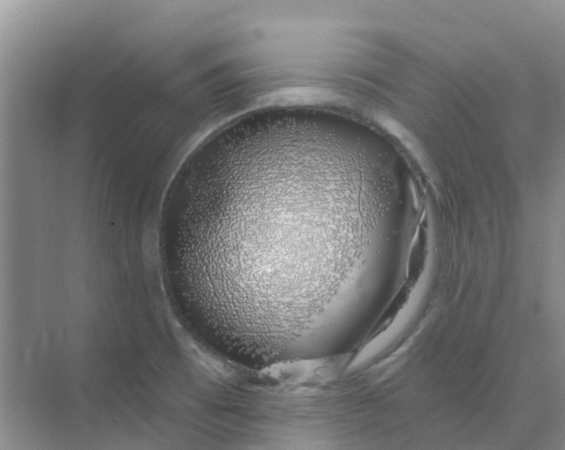 X0000073851473200608311948