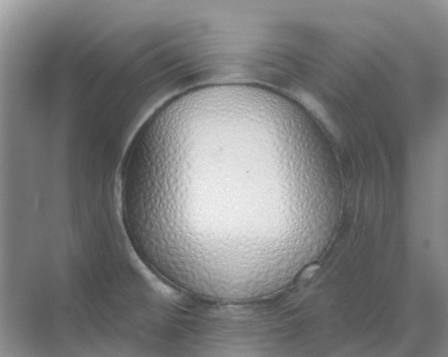 X0000073851476200608311948