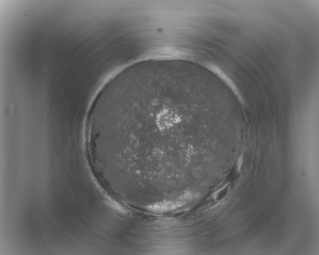 X0000073851477200608311948