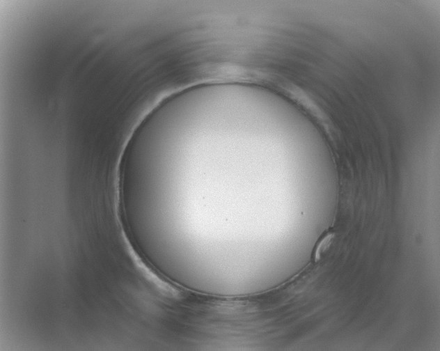 X0000073851479200608311948