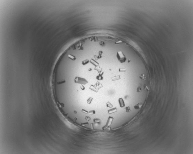 X0000073851482200608311948