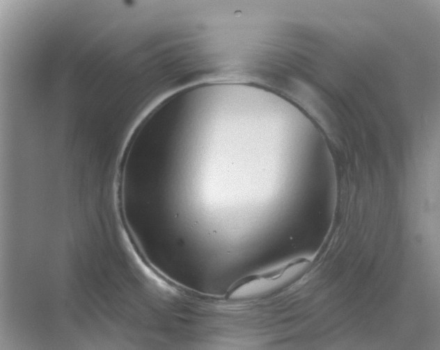 X0000073851484200608311948