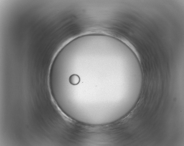 X0000073851485200608311947