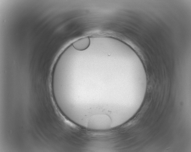 X0000073851486200608311947