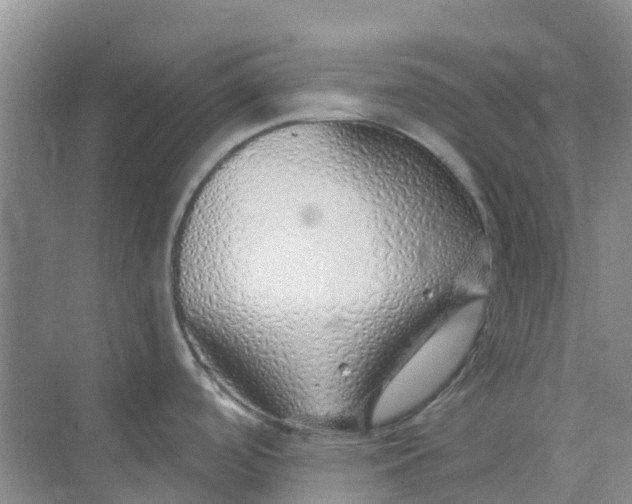 X0000073851488200608311947