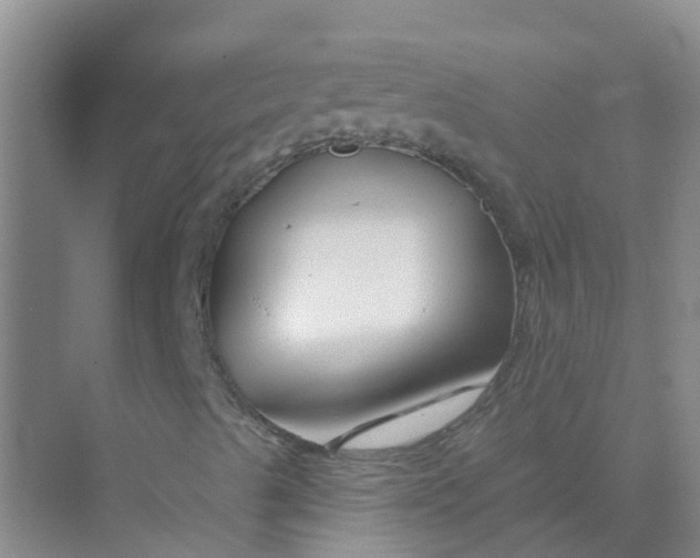 X0000073851489200608311947