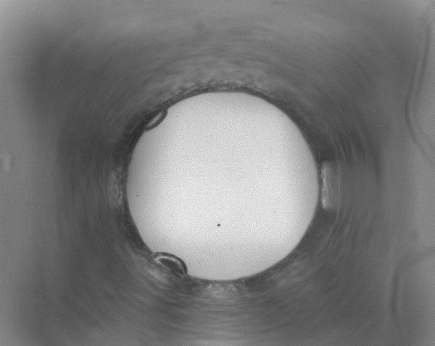 X0000073851491200608311947