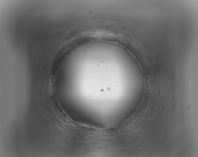 X0000073851493200608311947