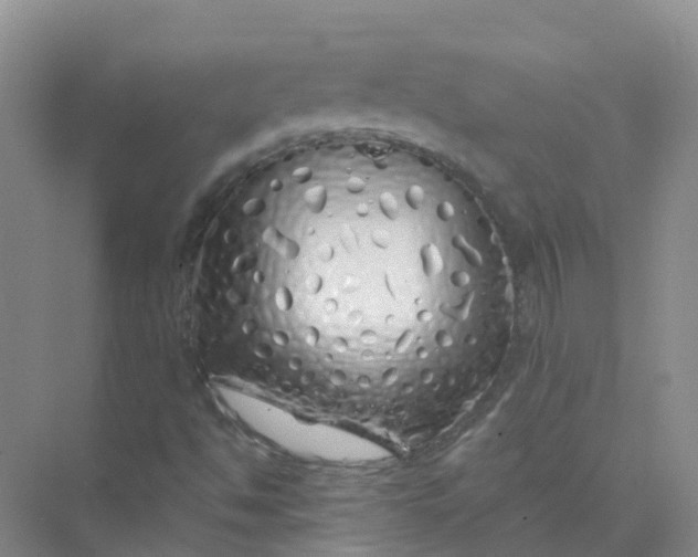 X0000073851494200608311947