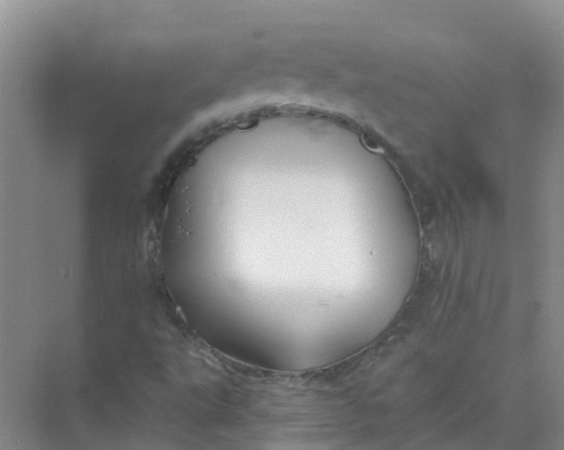 X0000073851495200608311947