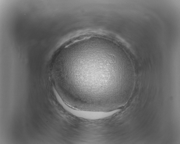 X0000073851496200608311947