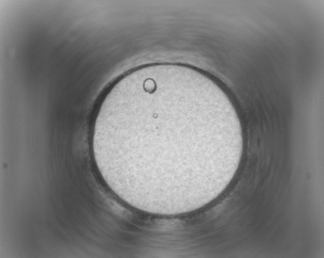 X0000073851498200608311947