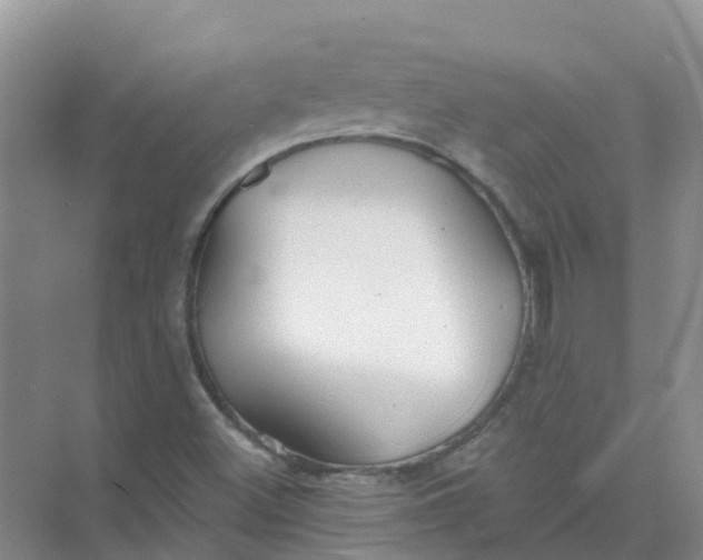 X0000073851500200608311947