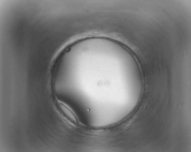 X0000073851502200608311947